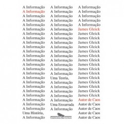 A informação - Martin Amis