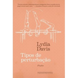 Tipos de perturbação -...