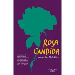 ROSA CANDIDA