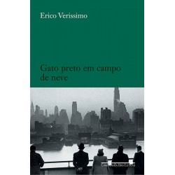 Gato preto em campo de neve...