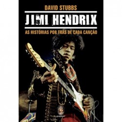 JIMI HENDRIX - DAVID STUBBS