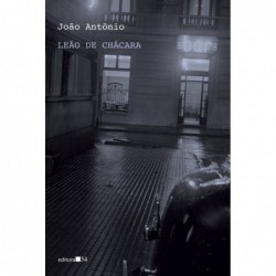 Leão de chácara - Antonio,...