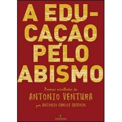 A educação pelo abismo  -...