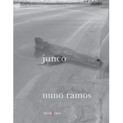 JUNCO - ILUMINURAS